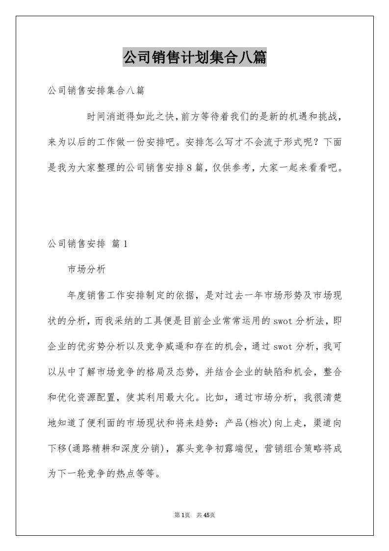 公司销售计划集合八篇精选