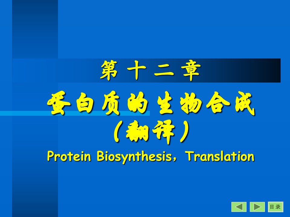 生物化学课件：中文-翻译PPT幻灯片