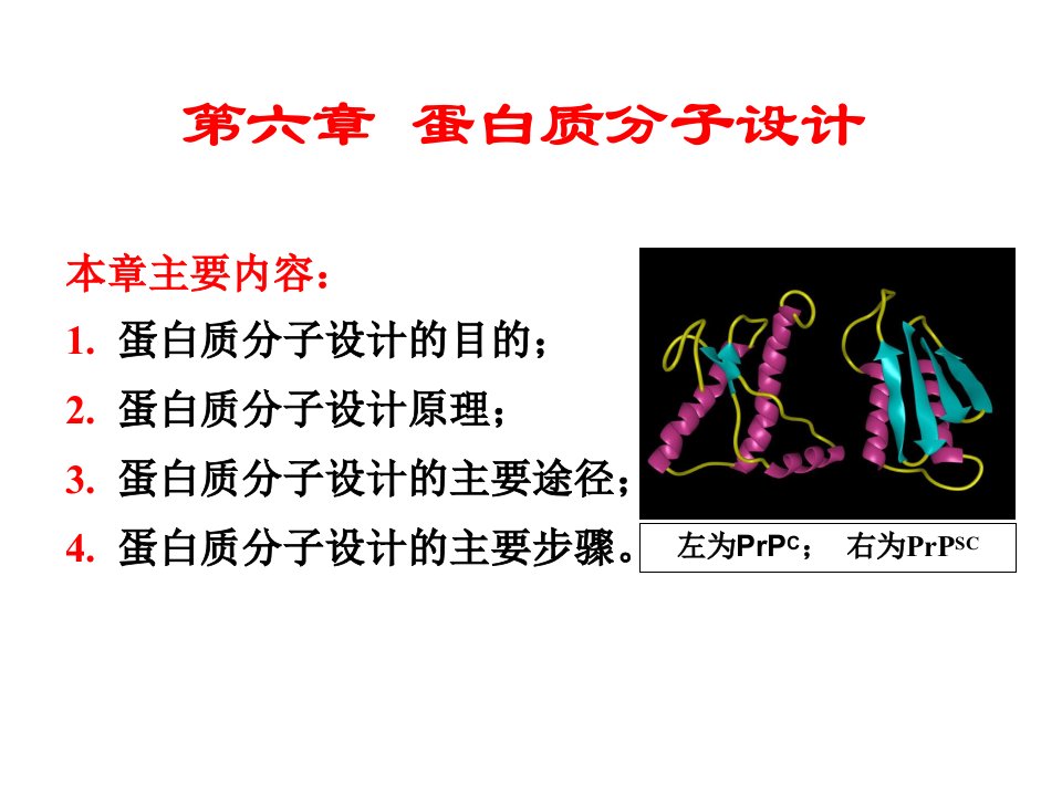 蛋白质分子设计