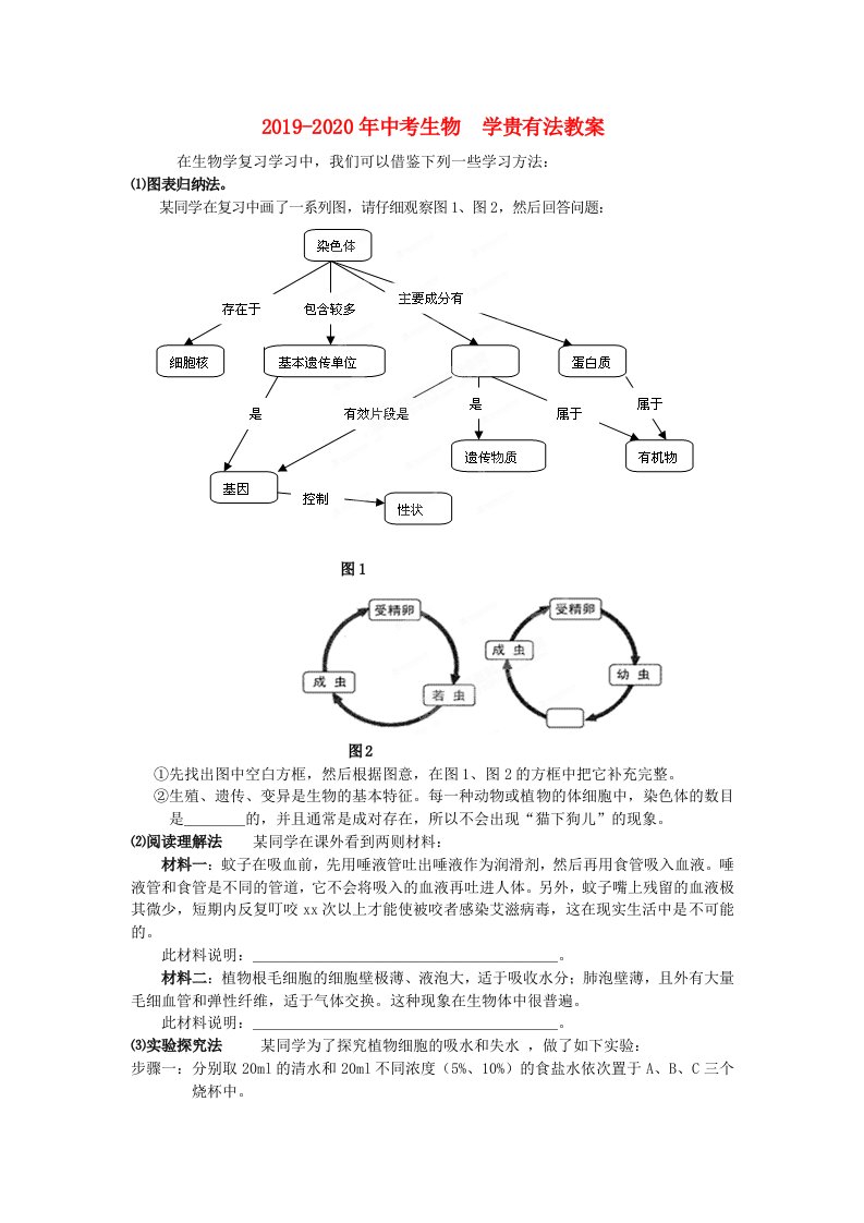 2019-2020年中考生物