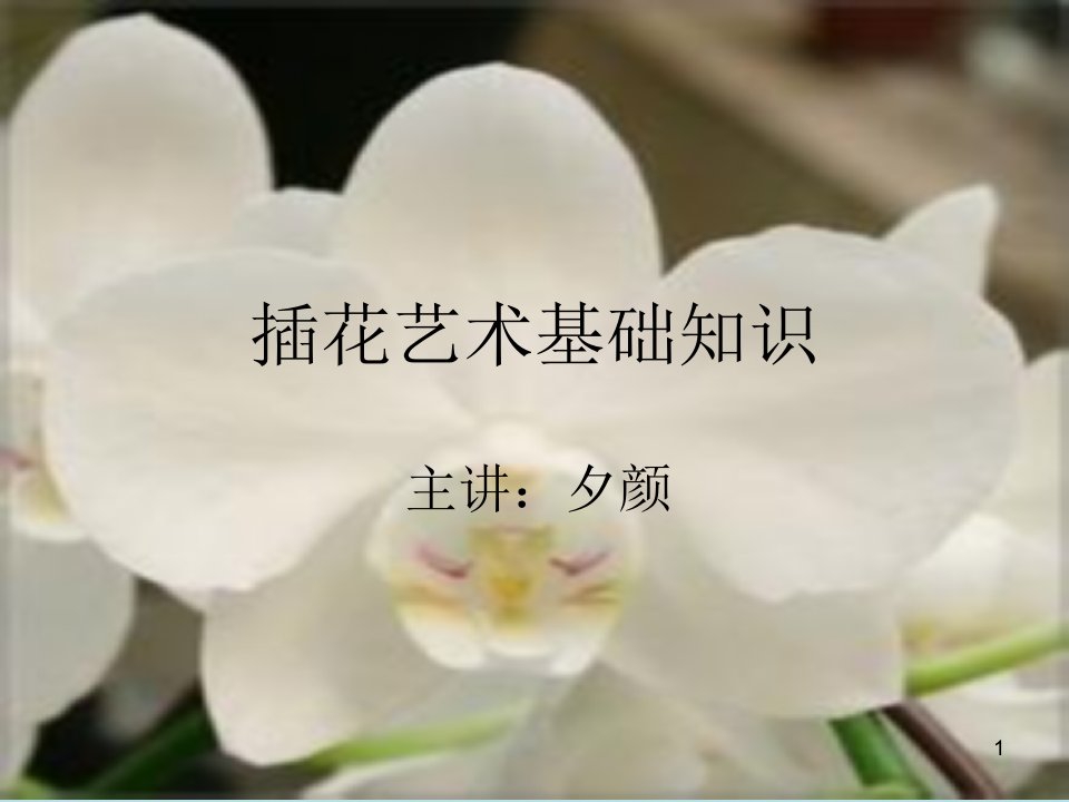 艺术插花基础知识学习PPT