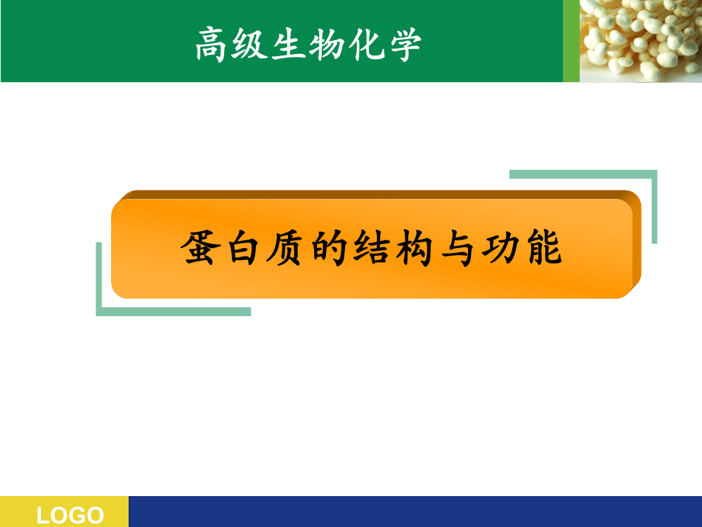 蛋白质结构与功能ppt课件