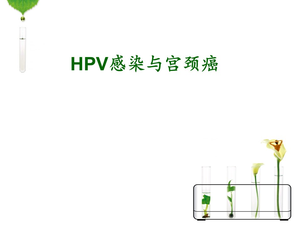 HPV感染与宫颈癌