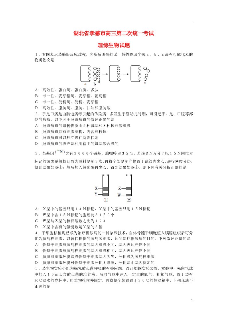 湖北省孝感市高三生物第二次统一考试试题新人教版