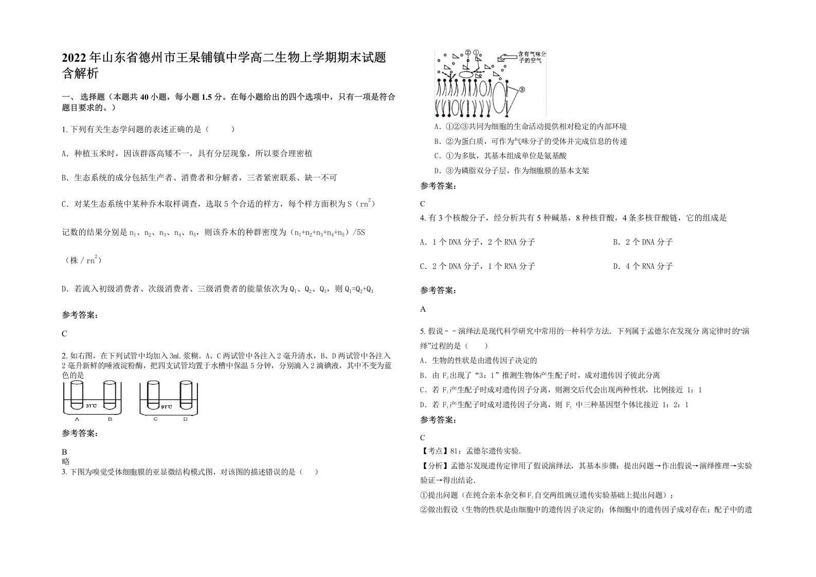 2022年山东省德州市王杲铺镇中学高二生物上学期期末试题含解析