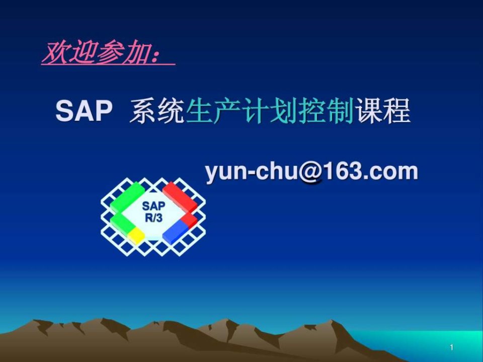 sap-pp经典