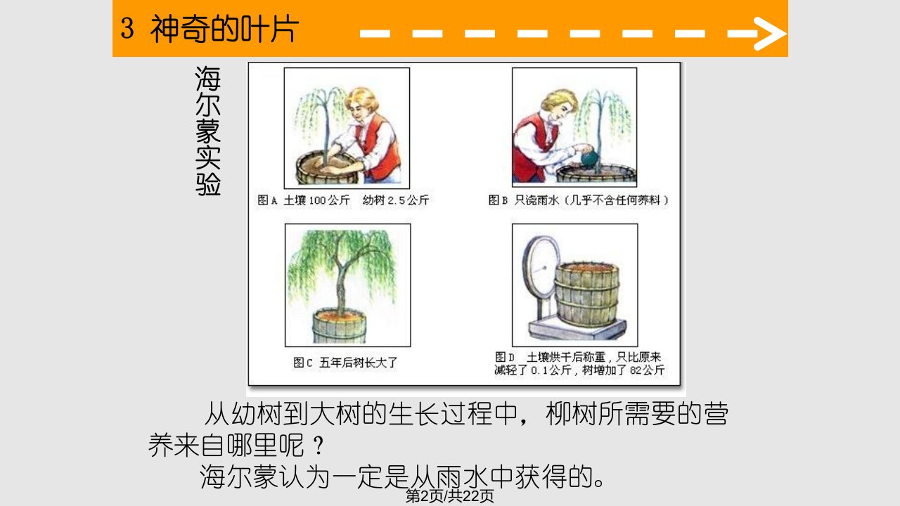 神奇的叶片教学解析