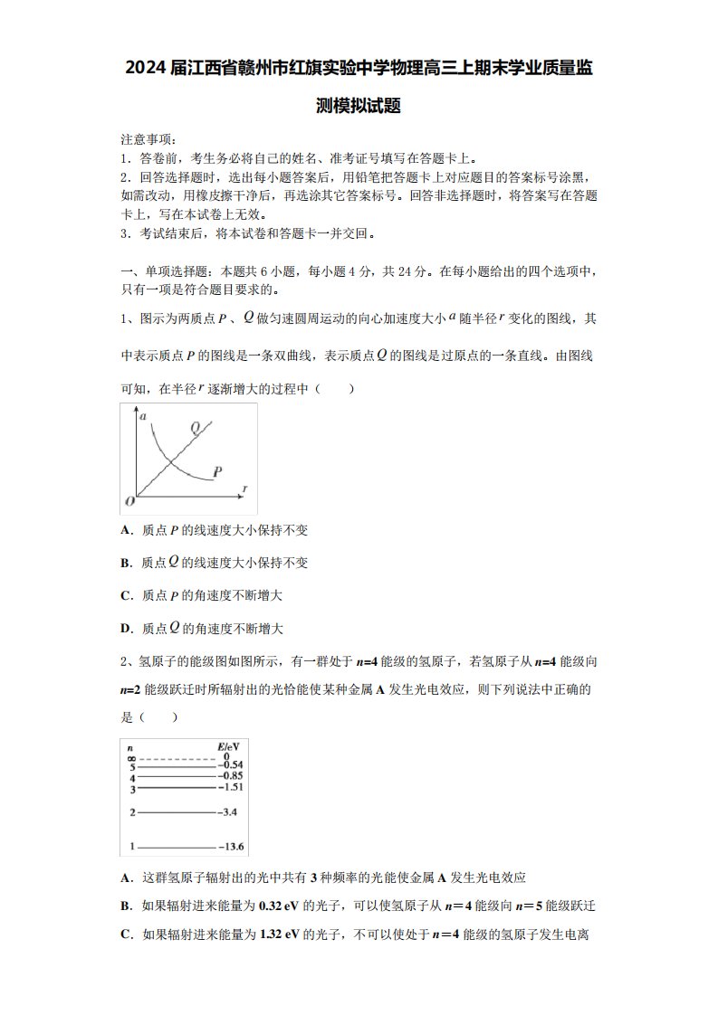 2024届江西省赣州市红旗实验中学物理高三上期末学业质量监测模拟试题含