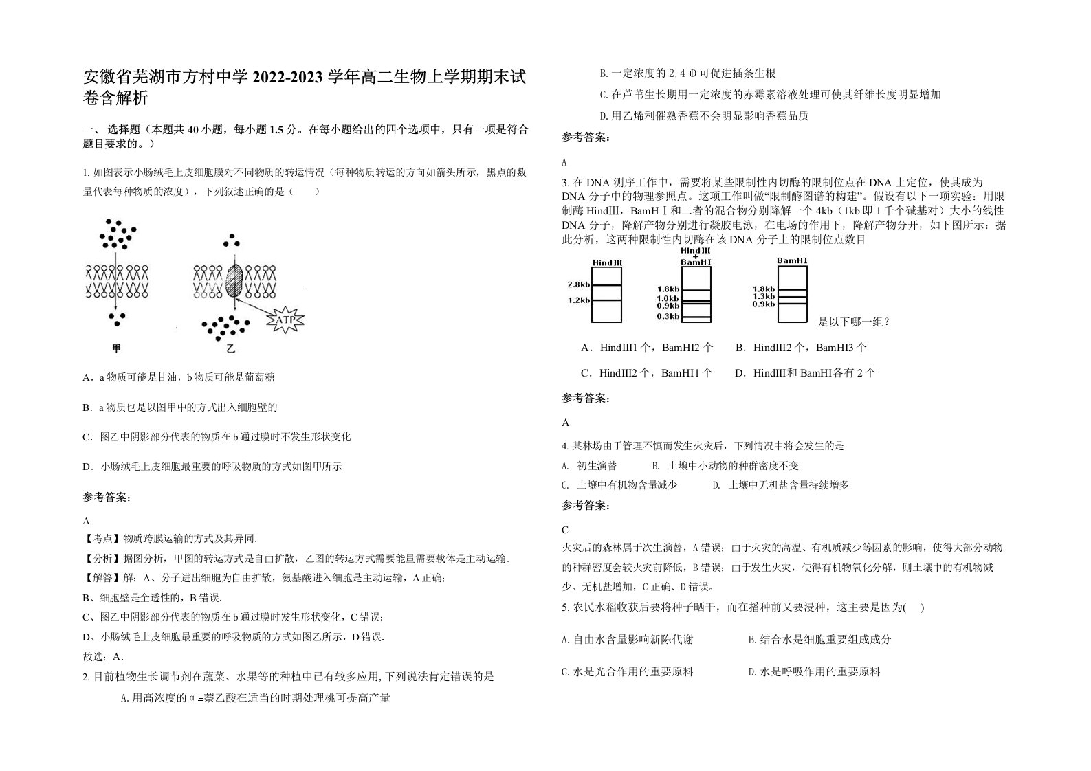 安徽省芜湖市方村中学2022-2023学年高二生物上学期期末试卷含解析