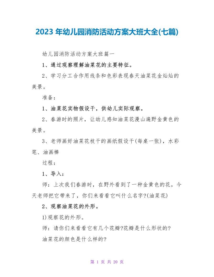 2023年幼儿园消防活动方案大班大全(七篇)