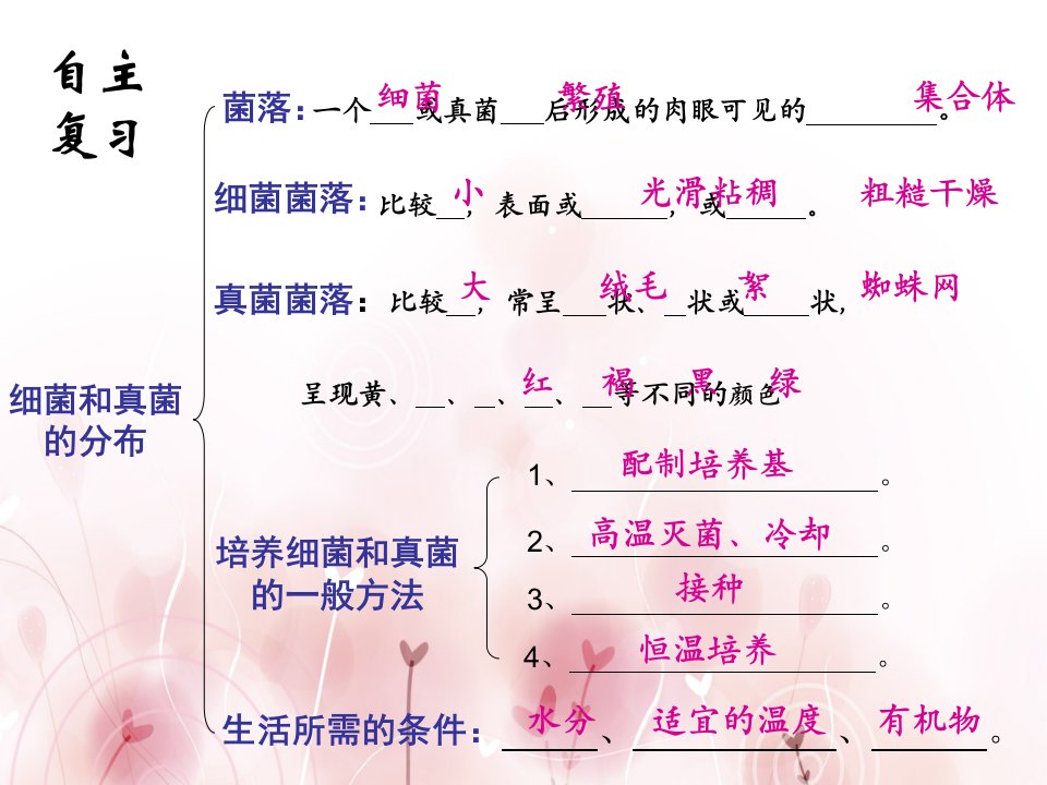 八年级生物上册第四章《细菌真菌》复习课件