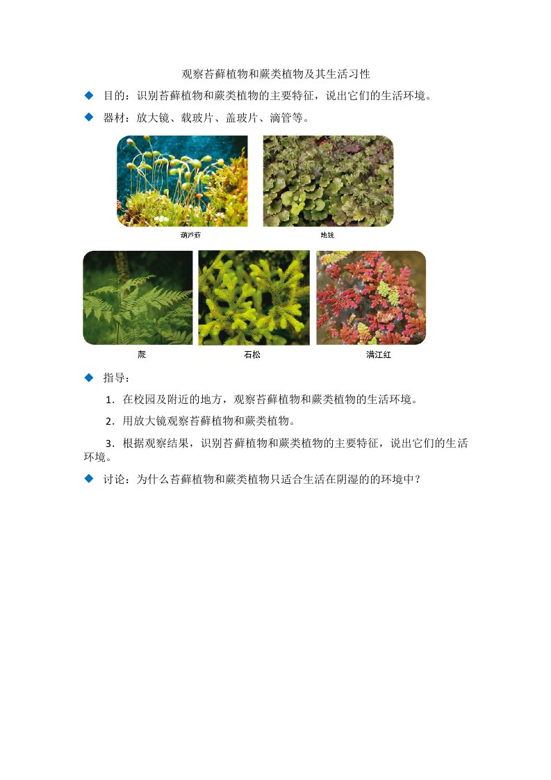 观察苔藓植物和蕨类植物及其生活习性