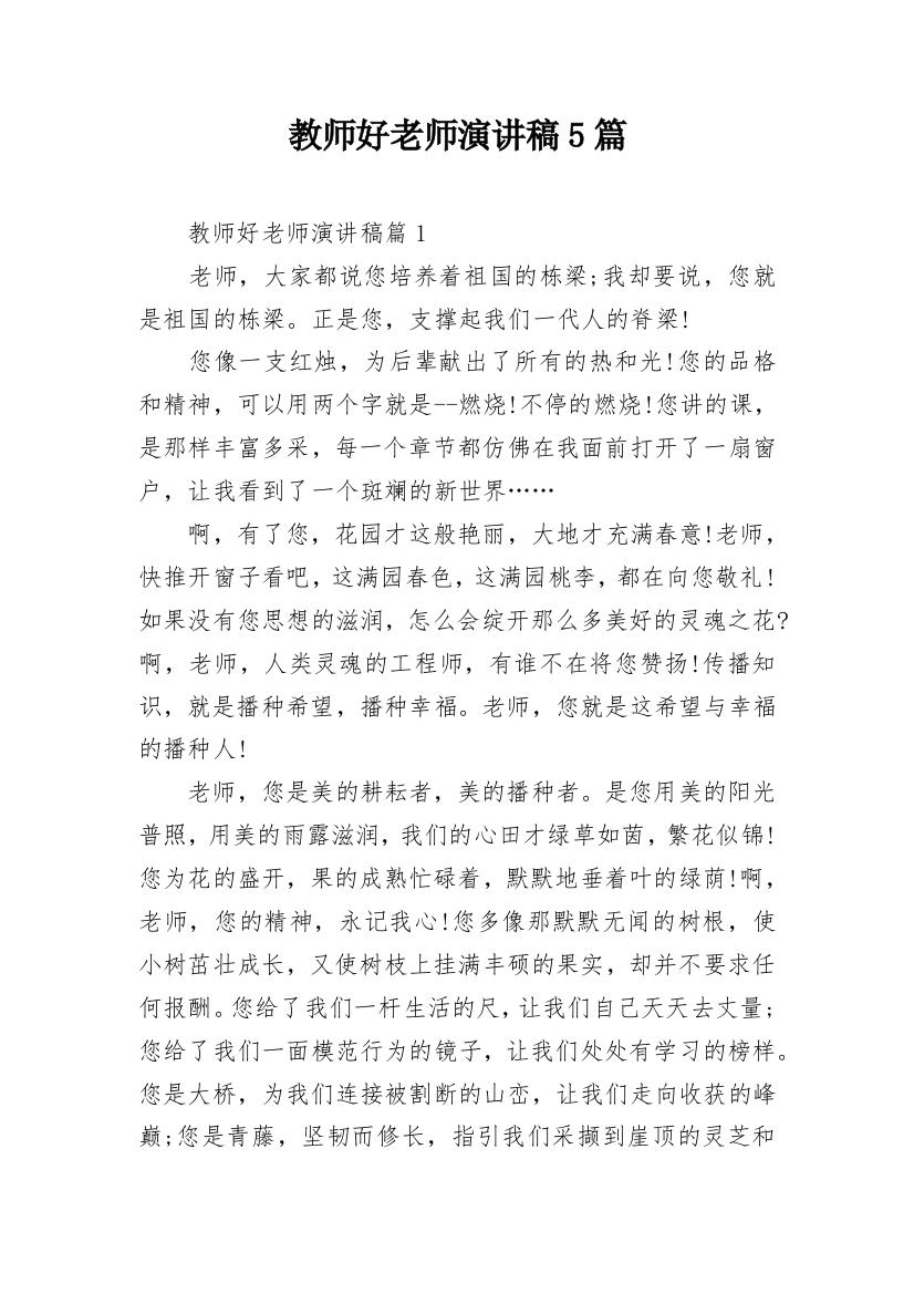 教师好老师演讲稿5篇