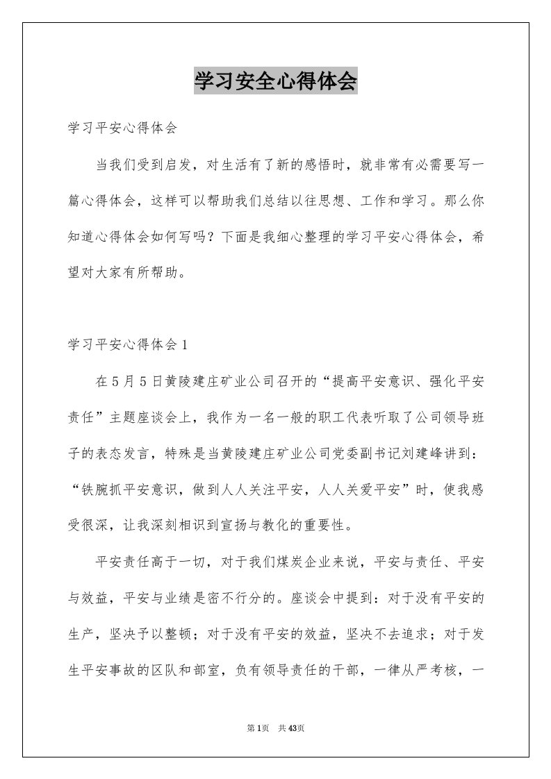 学习安全心得体会例文