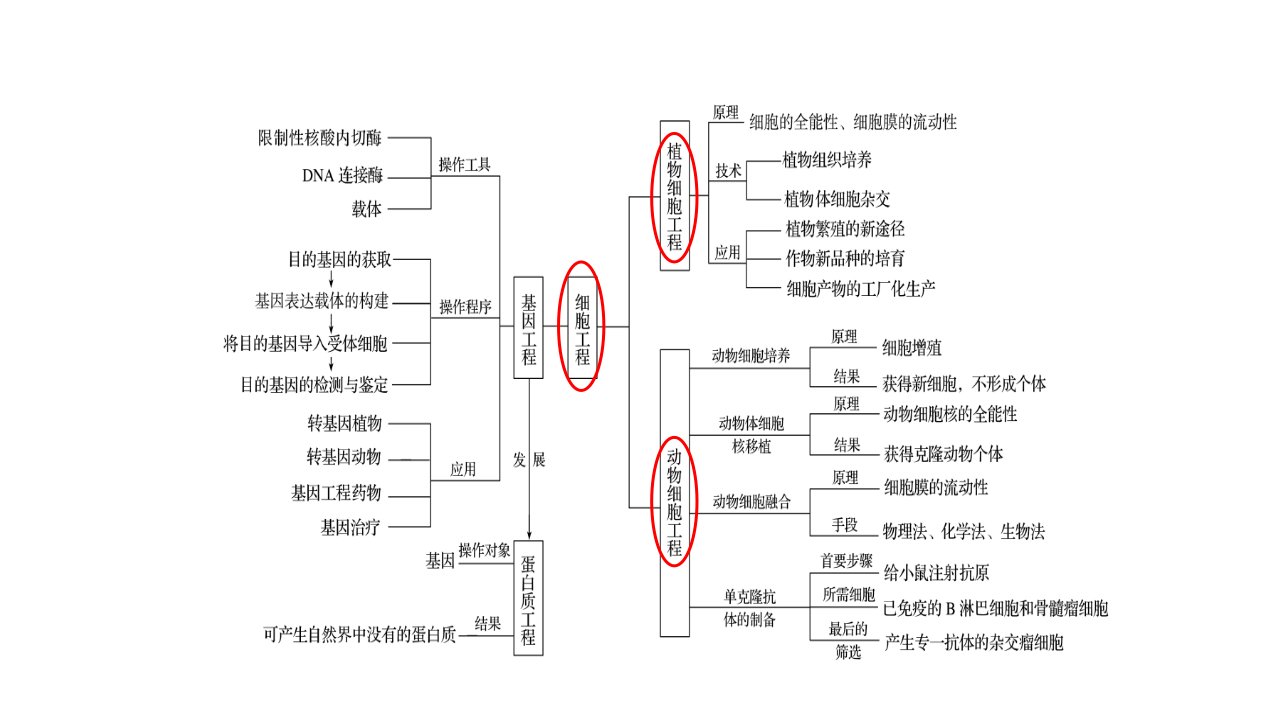 细胞工程的应用