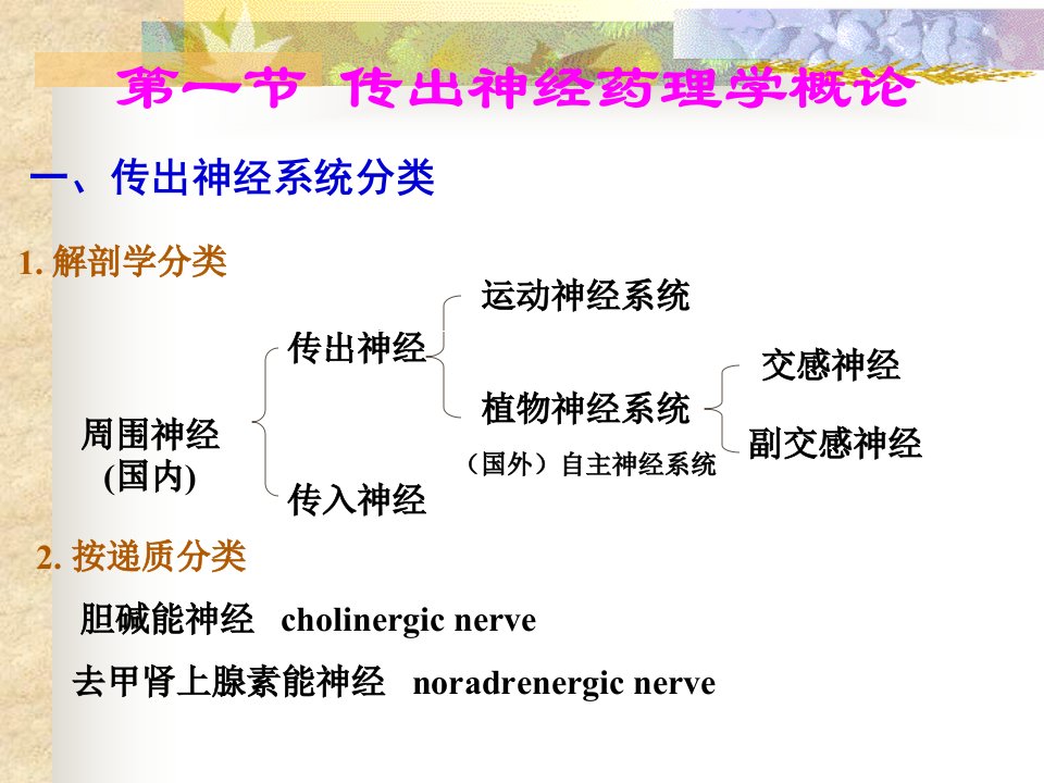 外周神经系统药物药理