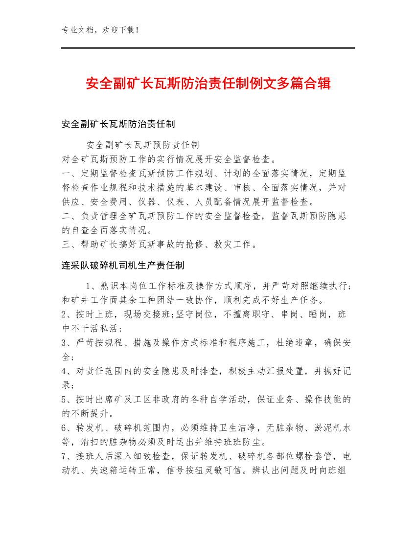 安全副矿长瓦斯防治责任制例文多篇合辑