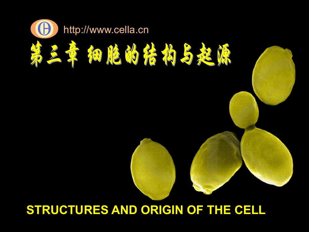 细胞生物学基础知识细胞生物学在线