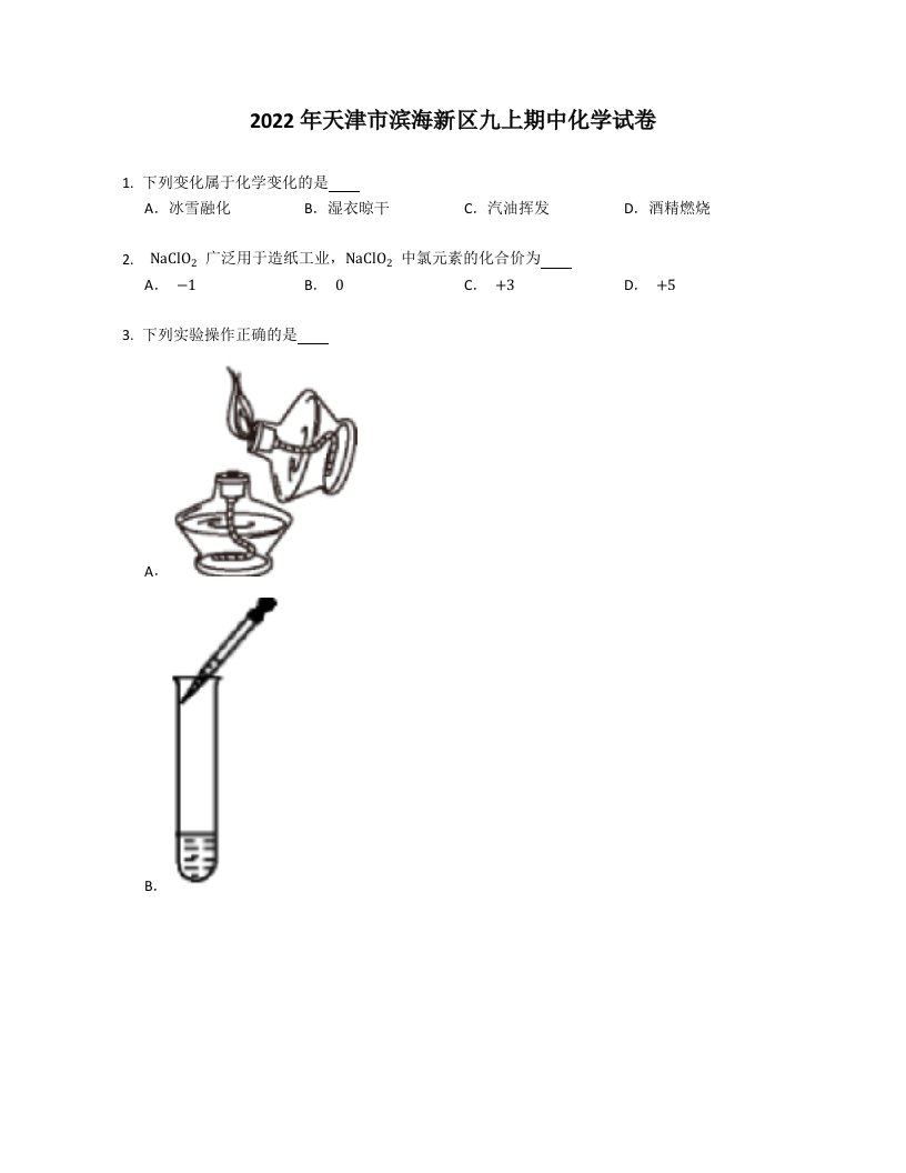 2022年天津市滨海新区九年级上学期期中化学试卷（含答案）