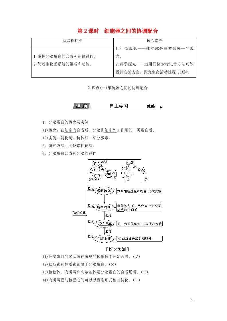 2021_2022年新教材高中生物第3章细胞的基本结构第2节第2课时细胞器之间的协调配合学案新人教版必修1