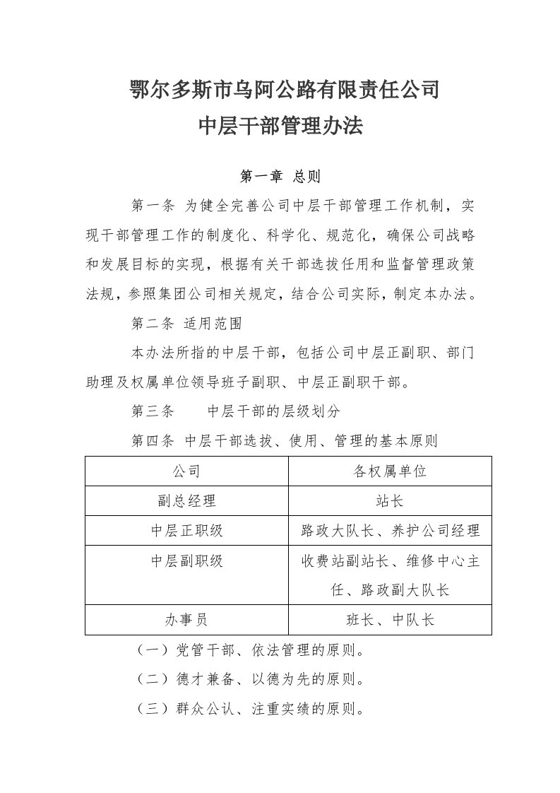 公司中层干部管理办法