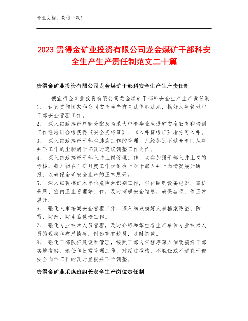 2023贵得金矿业投资有限公司龙金煤矿干部科安全生产生产责任制范文二十篇