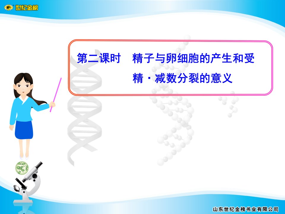 精子与卵细胞的产生和受精