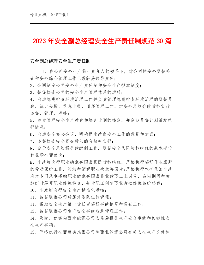 2023年安全副总经理安全生产责任制规范30篇