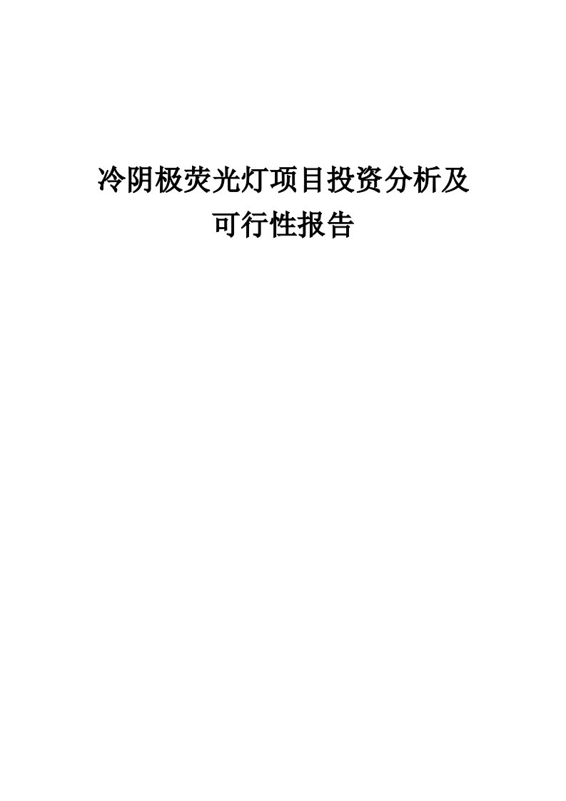 2024年冷阴极荧光灯项目投资分析及可行性报告