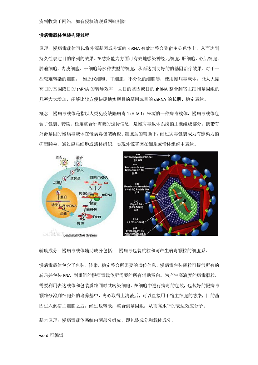 慢病毒载体包装构建过程word版本