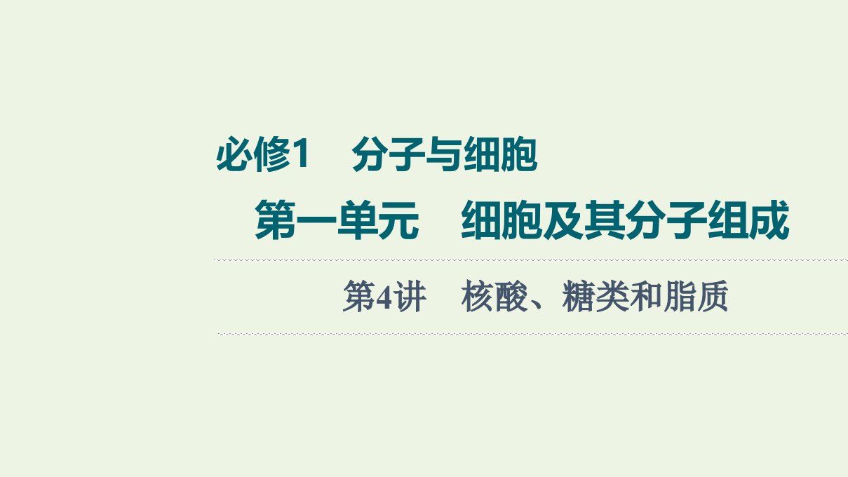 2022版高考生物一轮复习第1单元细胞及其分子组成第4讲核酸糖类和脂质课件