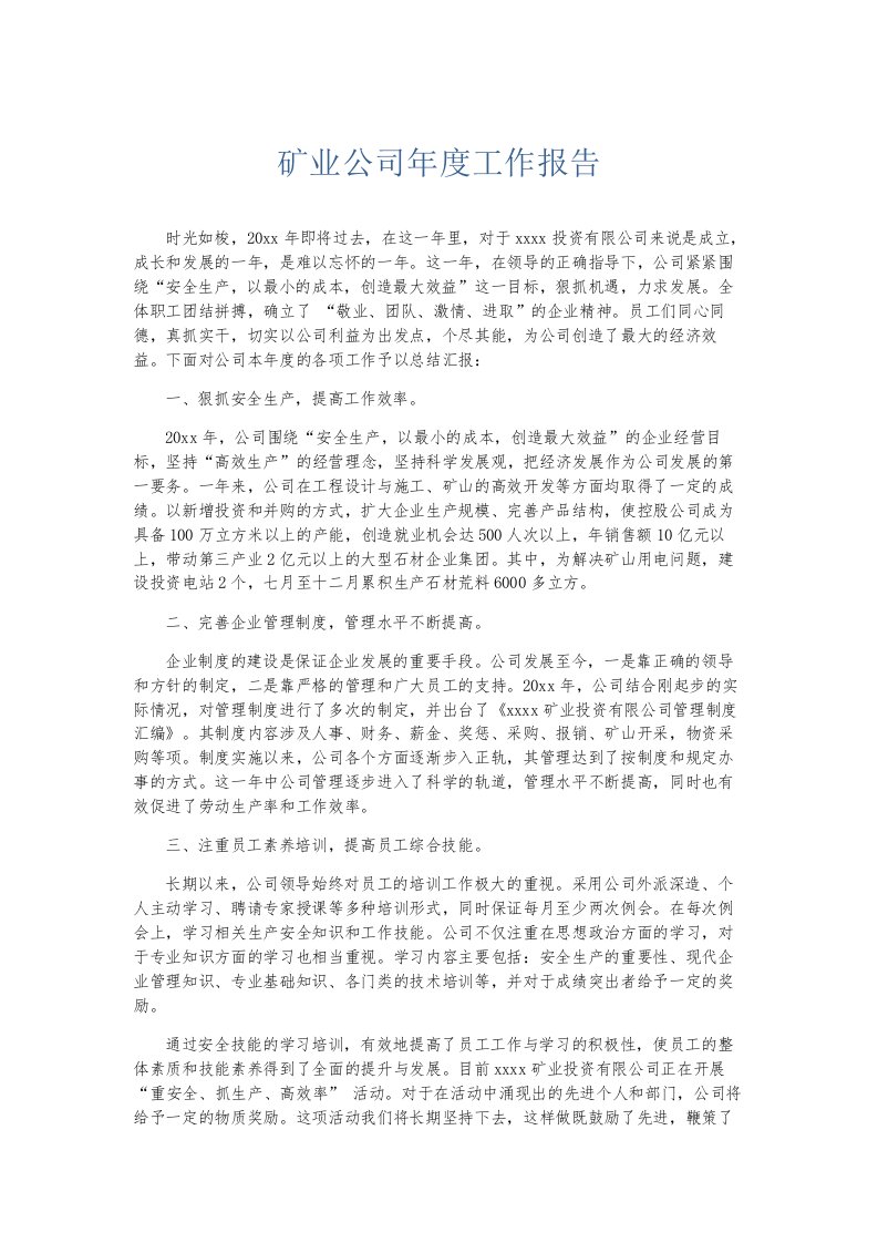 总结报告矿业公司年度工作报告