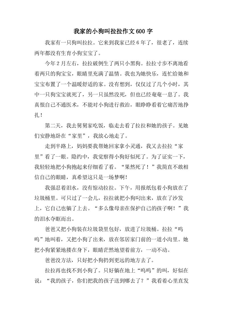 我家的小狗叫拉拉作文600字