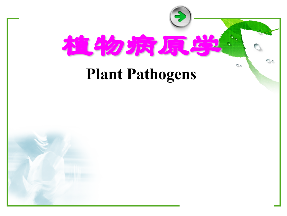 植物病原学之绪论ppt课件