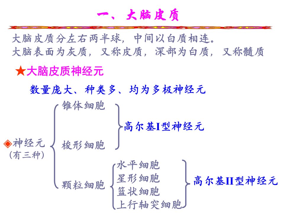 组织学与胚胎学神经系统_幻灯片