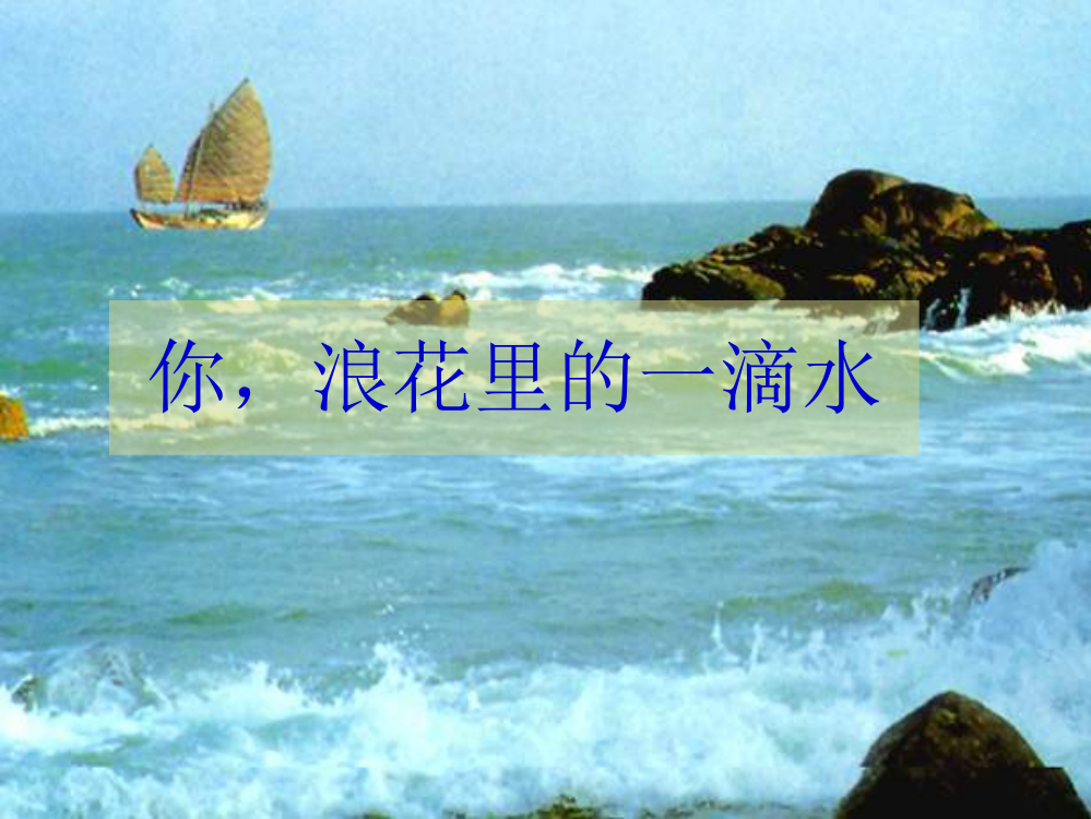 北师大版六年级下册《浪花里的一滴水》ppt课件