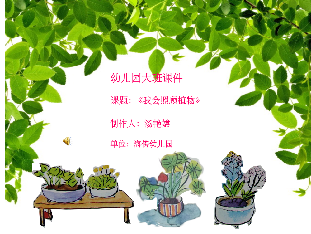 幼儿园大班完整《我会照顾植物》ppt课件