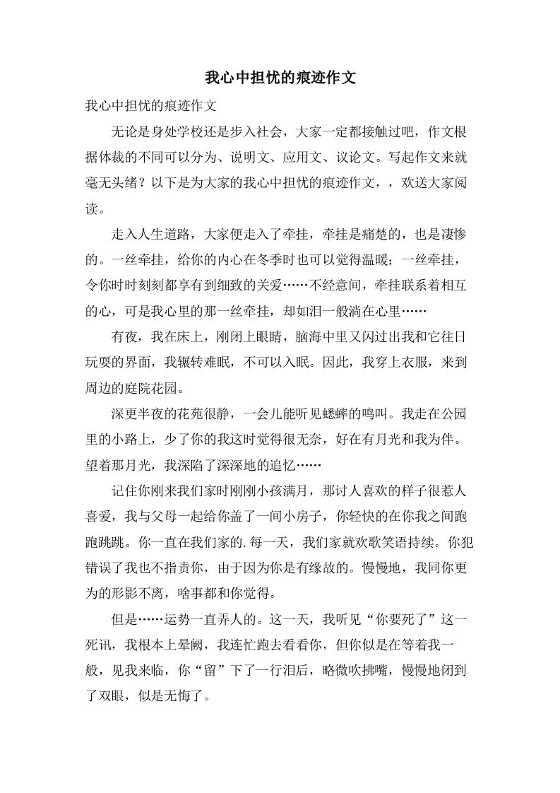 我心中担忧的痕迹作文