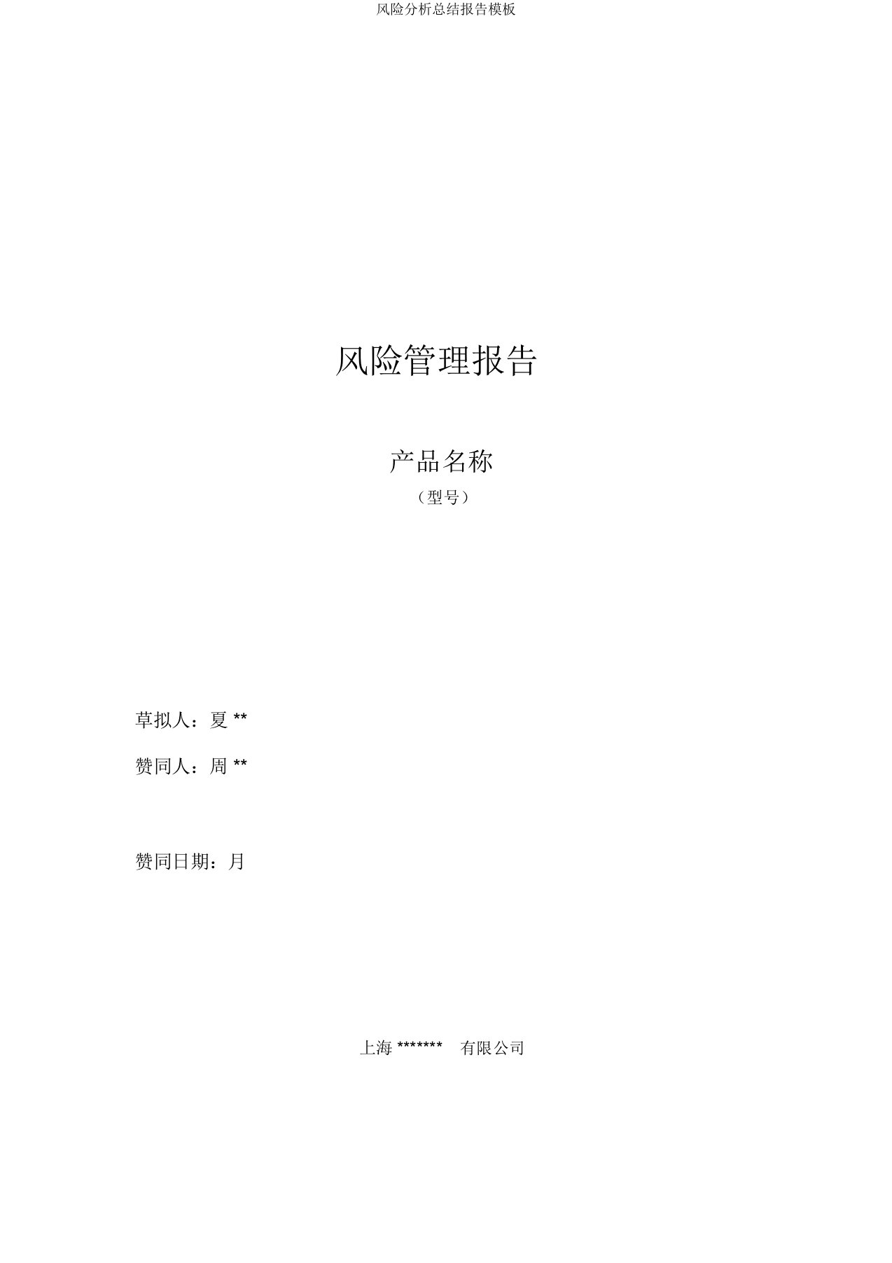 风险解析总结报告模板