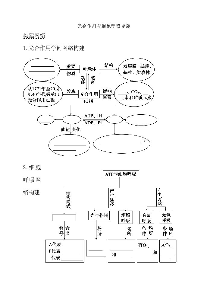 光合呼吸专题学案