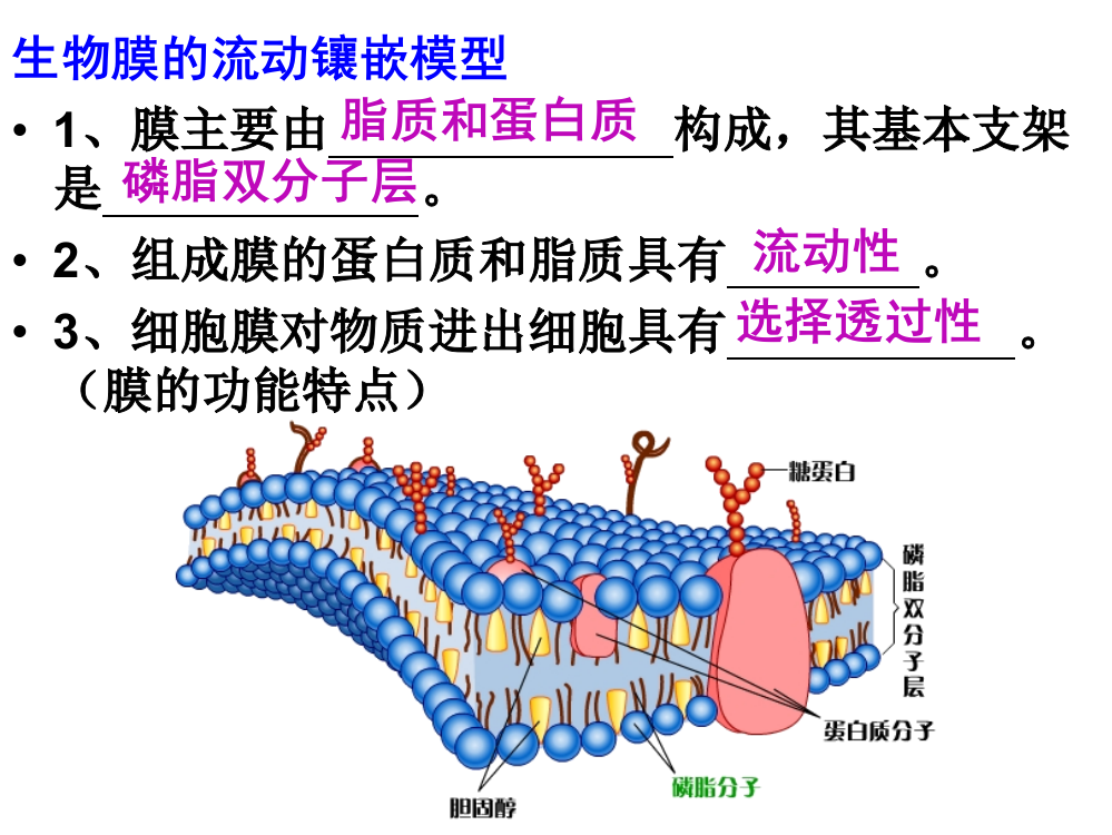 物质进出细胞的方式[2]