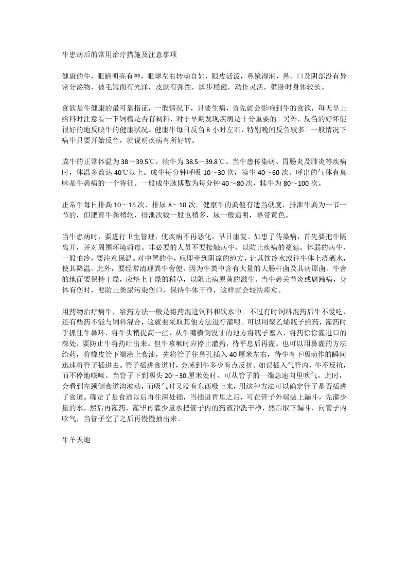 牛患病后的常用治疗措施及注意事项