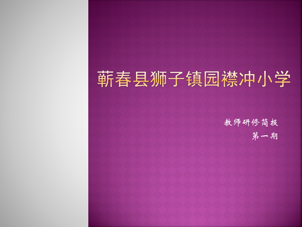 蕲春县狮子镇园襟冲小学教师研修简报第一期