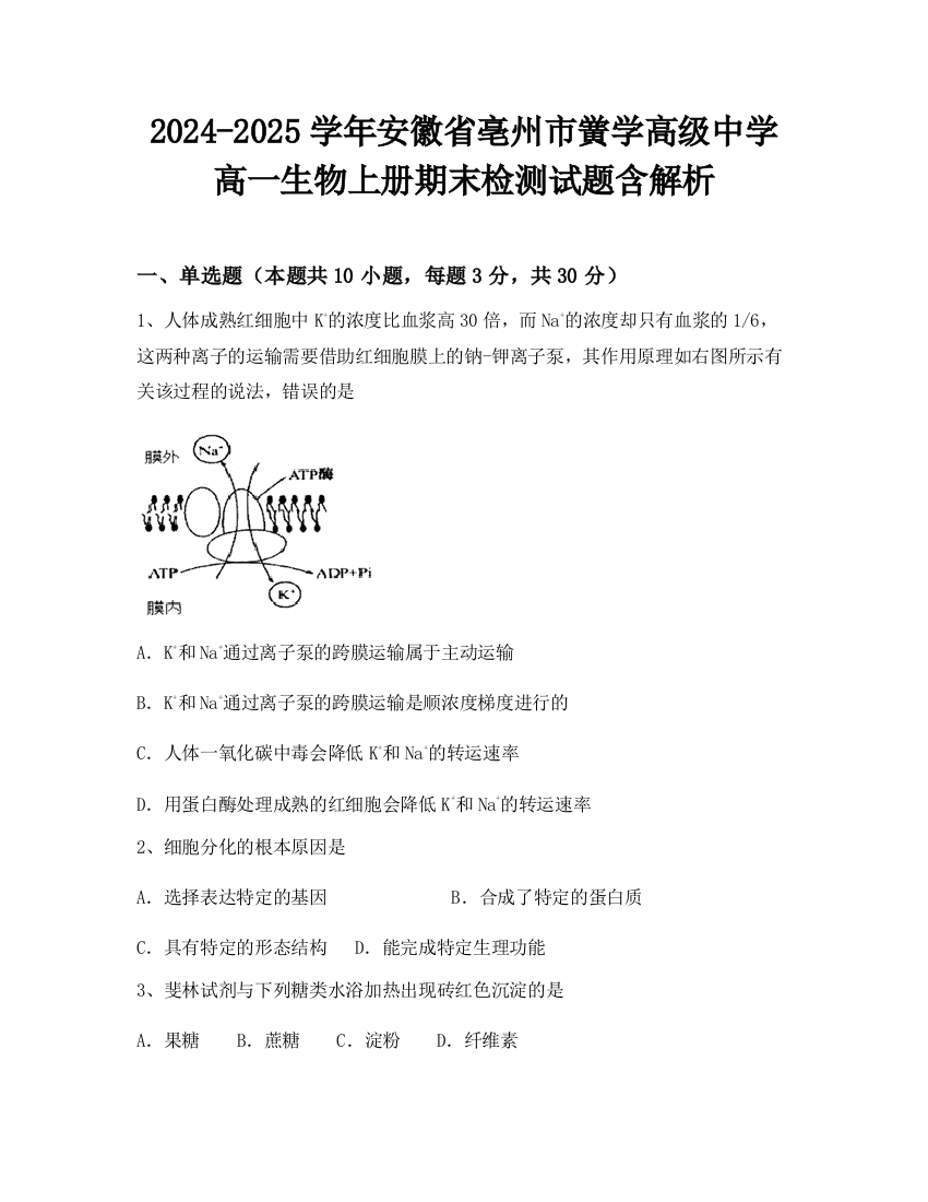 2024-2025学年安徽省亳州市黉学高级中学高一生物上册期末检测试题含解析