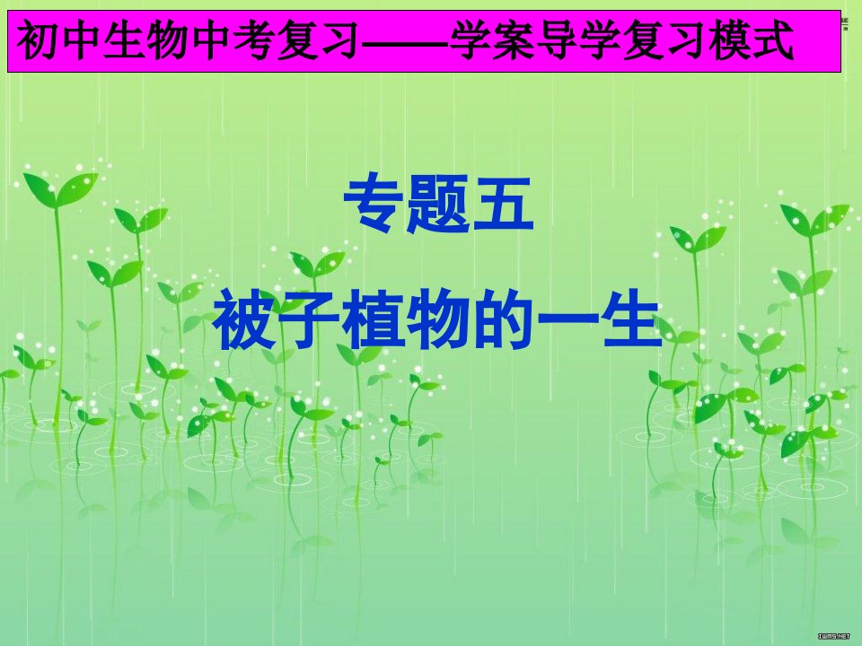 中考生物专题复习：被子植物的一生课件