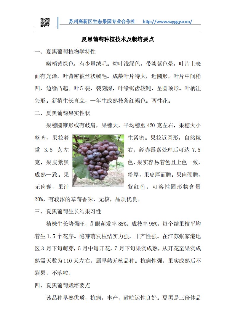 夏黑葡萄种植技术及栽培要点.pdf