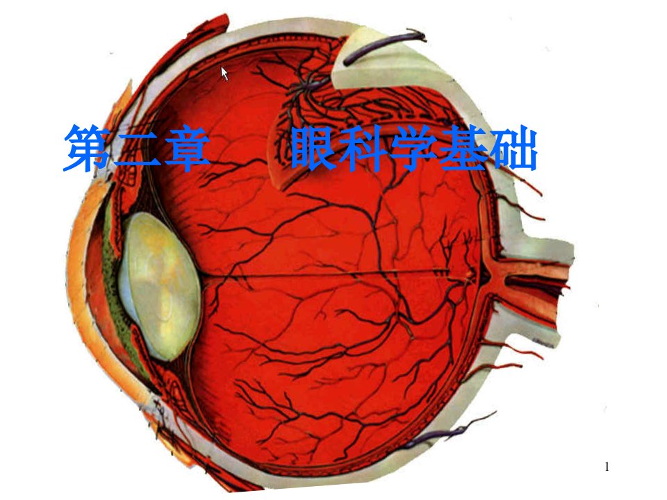 眼科学基础ppt课件