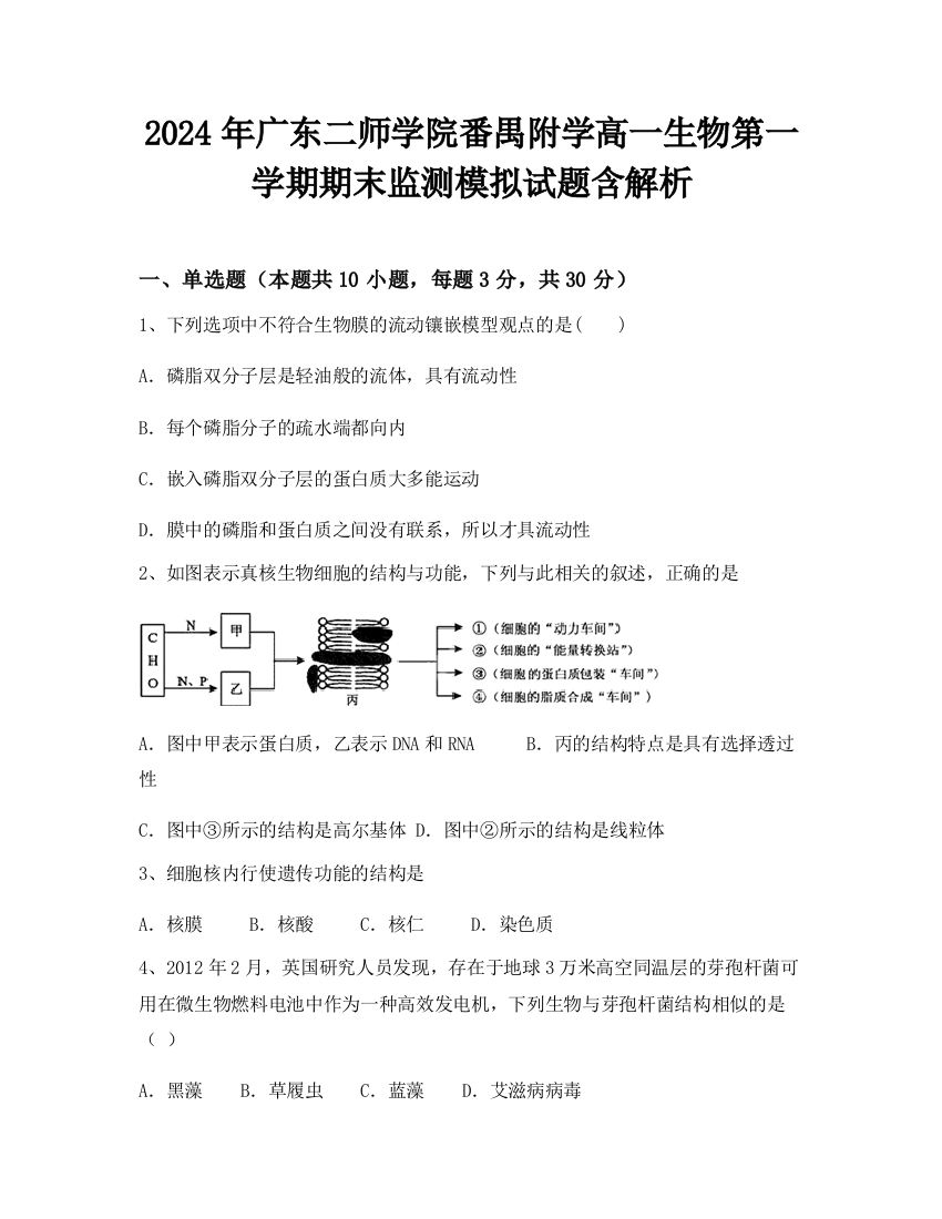 2024年广东二师学院番禺附学高一生物第一学期期末监测模拟试题含解析