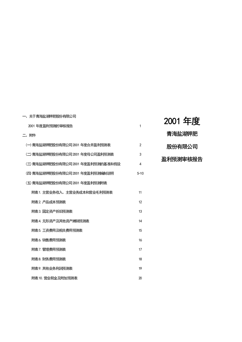 ××股份有限公司盈利预测审核报告