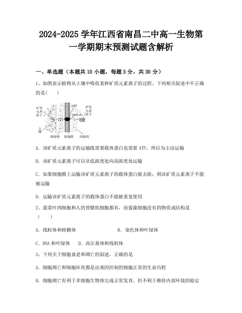 2024-2025学年江西省南昌二中高一生物第一学期期末预测试题含解析